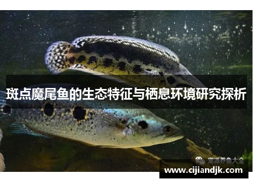 斑点魔尾鱼的生态特征与栖息环境研究探析
