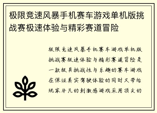 极限竞速风暴手机赛车游戏单机版挑战赛极速体验与精彩赛道冒险
